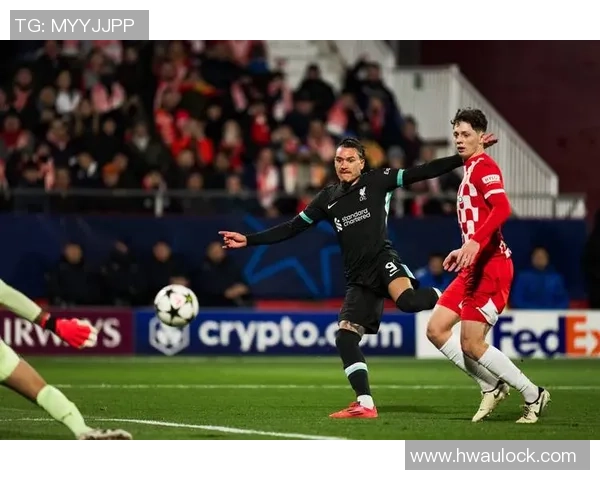 欧冠经典对决皇马逆转利物浦全场沸腾战术解析与精彩瞬间回顾